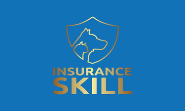InsuranceSkill.com - Creative brandable domain for sale
